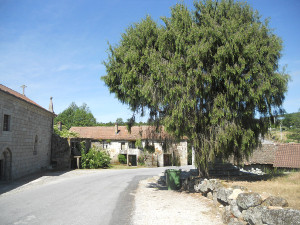 Convento de Santa Eufémia